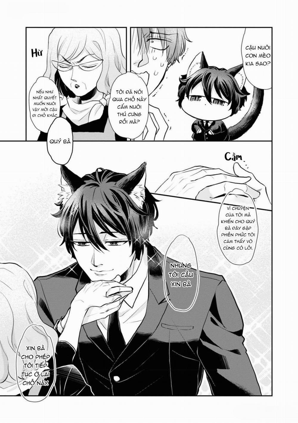 Chú Mèo Đẹp Trai Muốn Được Haruta Nuôi Dưỡng 2 trang 6