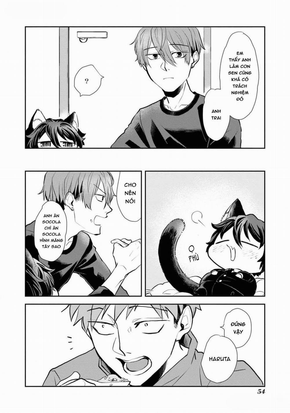 Chú Mèo Đẹp Trai Muốn Được Haruta Nuôi Dưỡng 3 trang 15