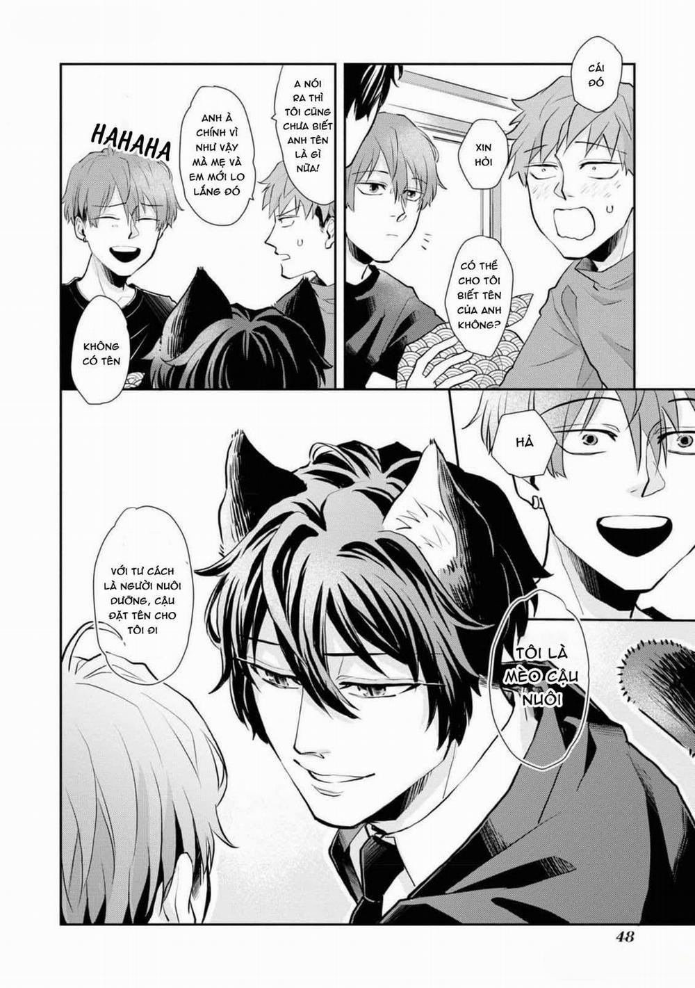 Chú Mèo Đẹp Trai Muốn Được Haruta Nuôi Dưỡng 3 trang 9