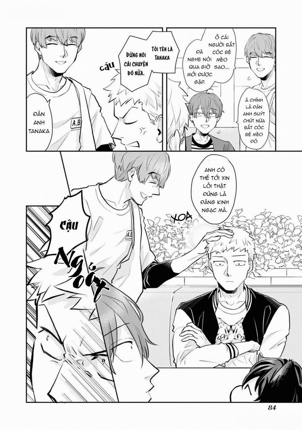 Chú Mèo Đẹp Trai Muốn Được Haruta Nuôi Dưỡng 5 trang 9