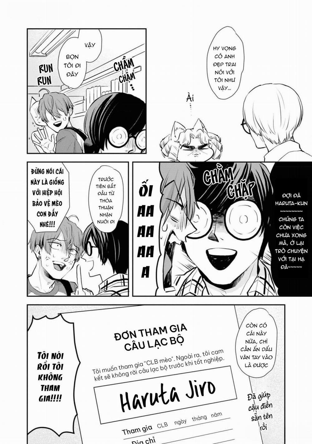 Chú Mèo Đẹp Trai Muốn Được Haruta Nuôi Dưỡng 6 trang 11