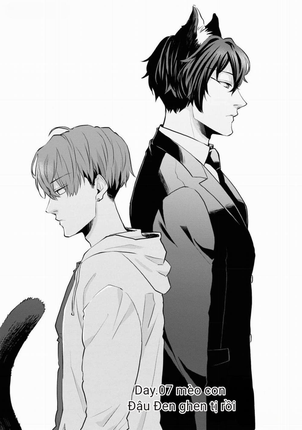 Chú Mèo Đẹp Trai Muốn Được Haruta Nuôi Dưỡng 7 trang 0