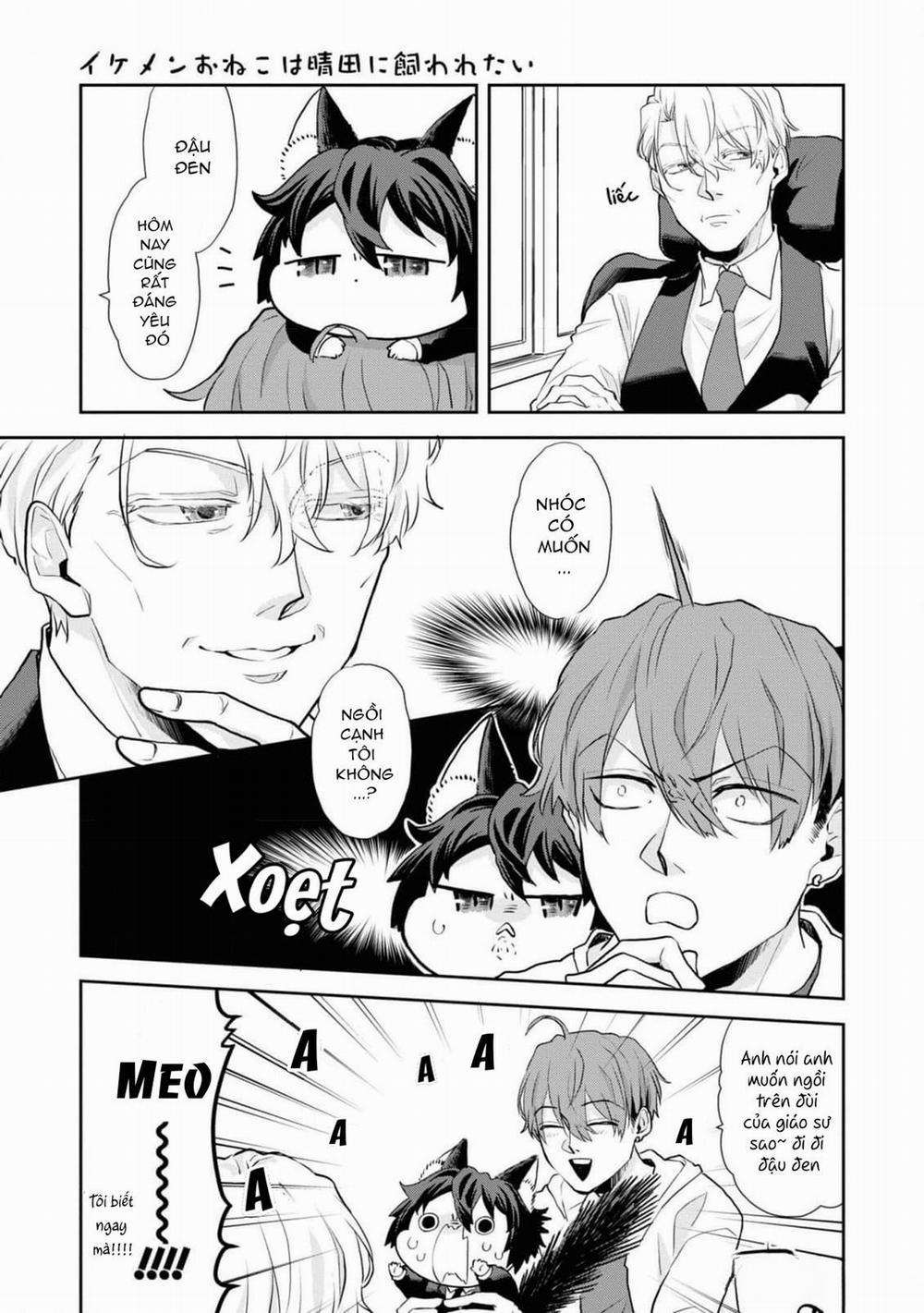 Chú Mèo Đẹp Trai Muốn Được Haruta Nuôi Dưỡng 7 trang 2