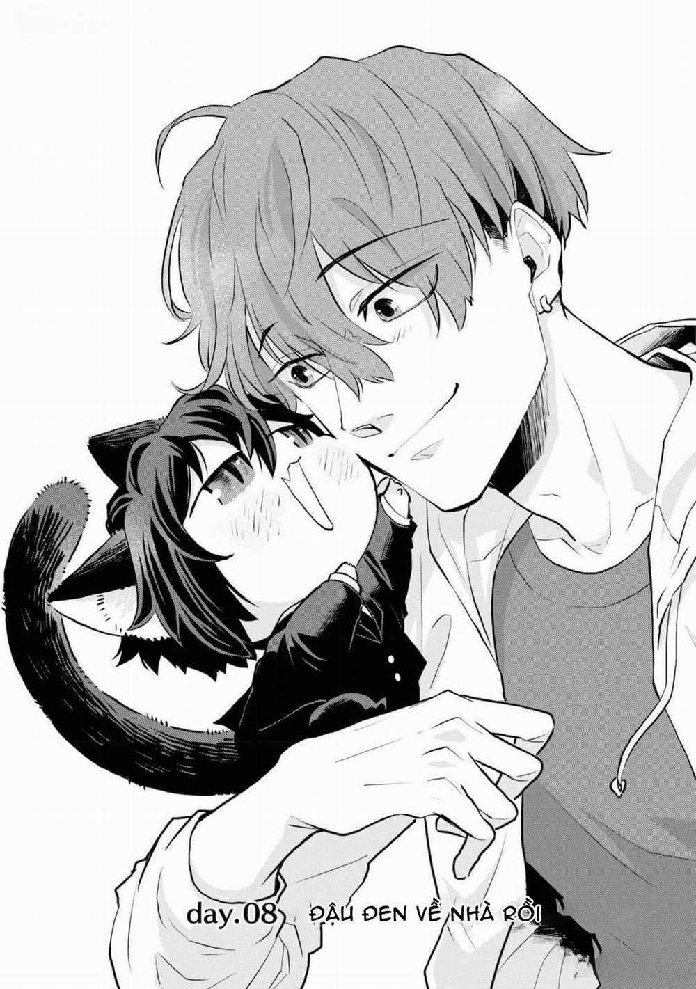 Chú Mèo Đẹp Trai Muốn Được Haruta Nuôi Dưỡng 8 trang 0