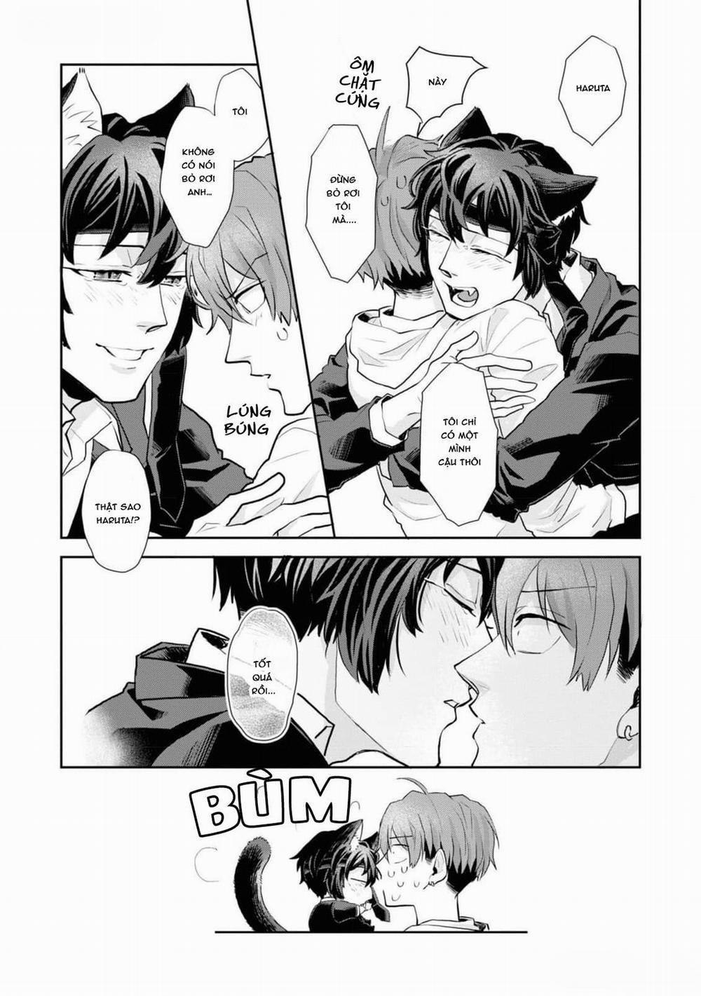 Chú Mèo Đẹp Trai Muốn Được Haruta Nuôi Dưỡng 8 trang 12