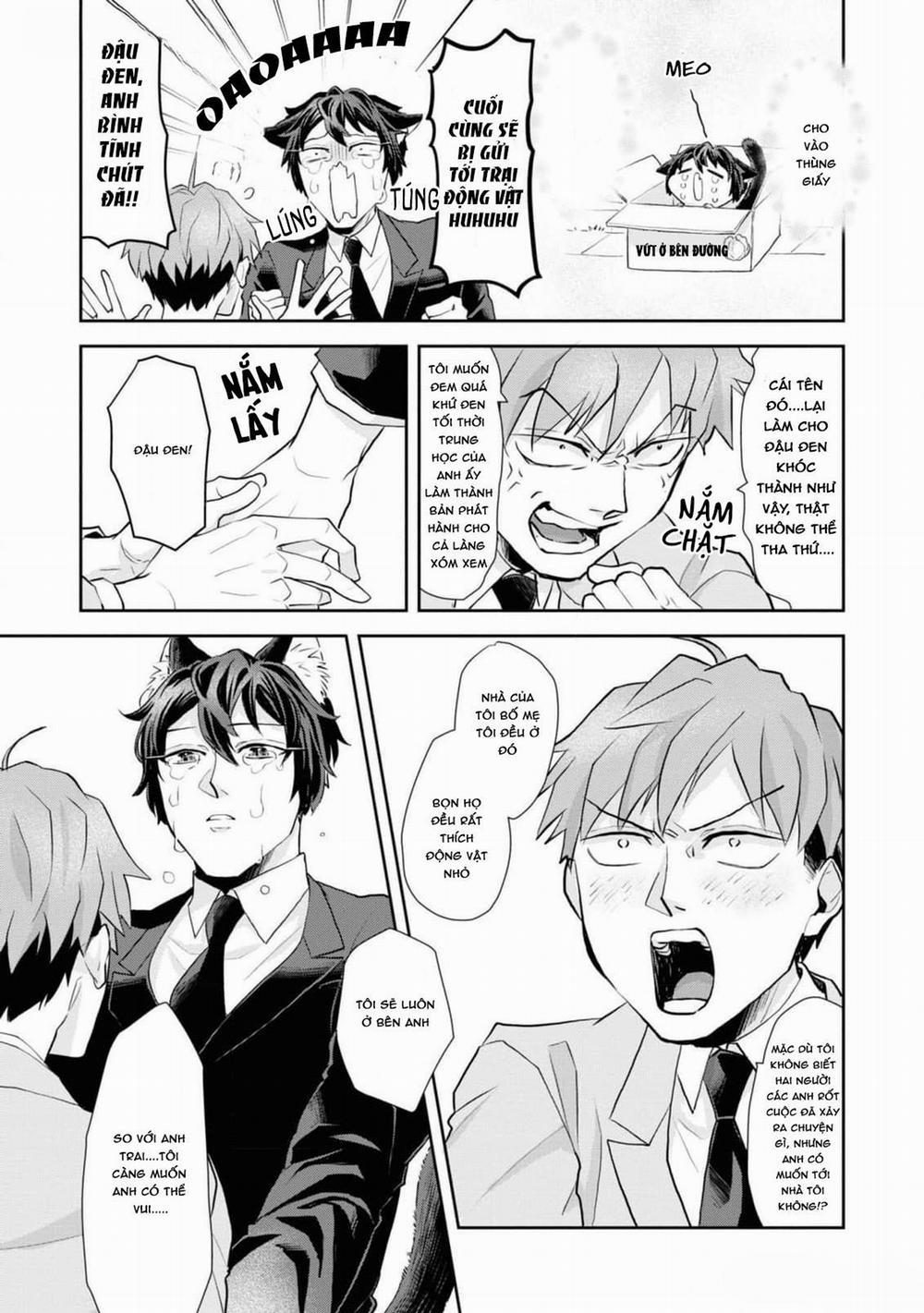 Chú Mèo Đẹp Trai Muốn Được Haruta Nuôi Dưỡng 8 trang 6