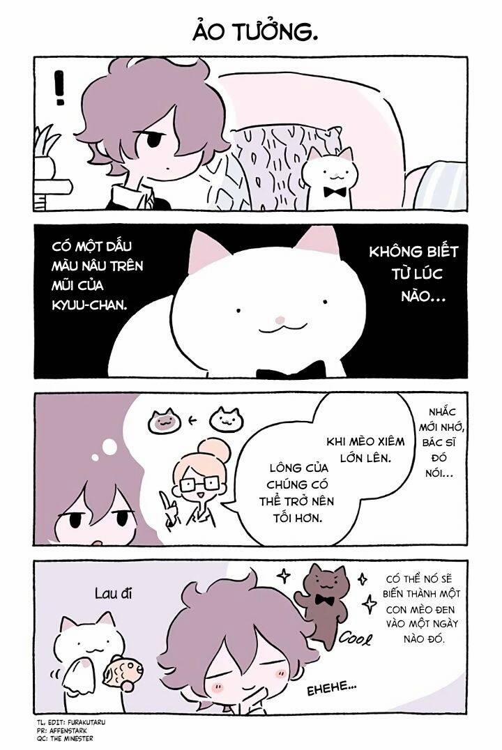 Chú Mèo Kỳ Diệu Kyuu-Chan 765 trang 2