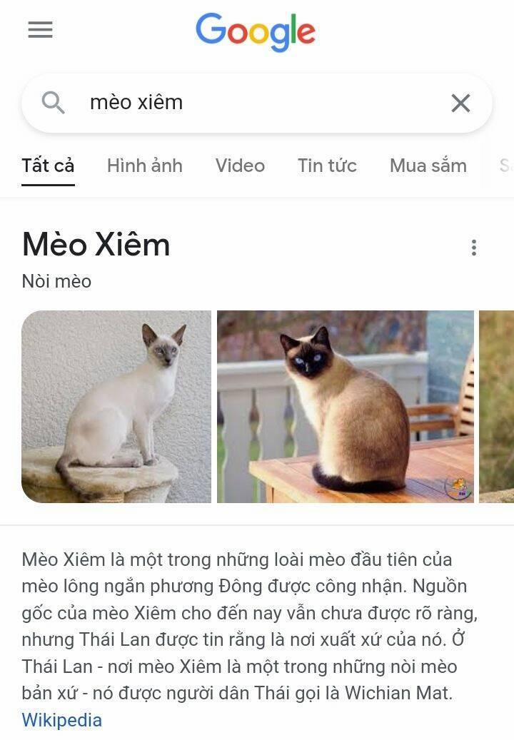 Chú Mèo Kỳ Diệu Kyuu-Chan 765 trang 3