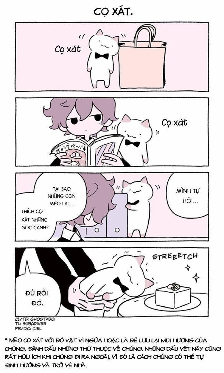 Chú Mèo Kỳ Diệu Kyuu-Chan 770 trang 2