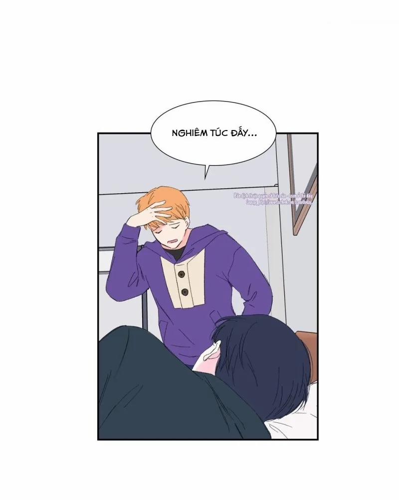 Chủ Nghĩa Hiện Thực 4 trang 44