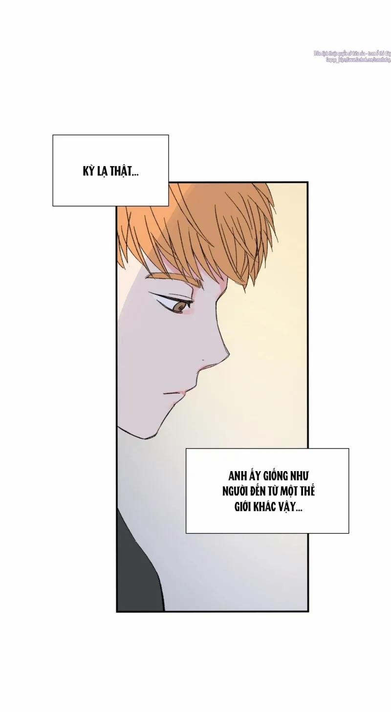 Chủ Nghĩa Hiện Thực 4 trang 55