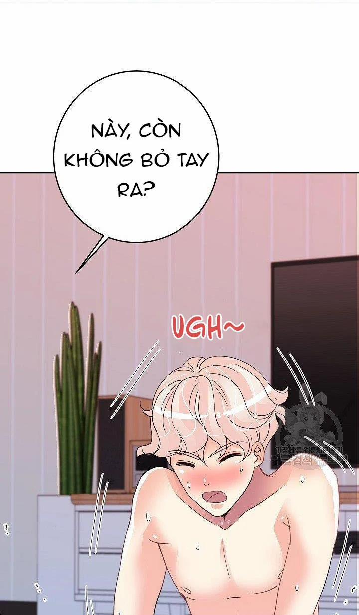 Chủ Nhân À, Xin Anh Hãy Hành Hạ Em Đi 5 trang 21