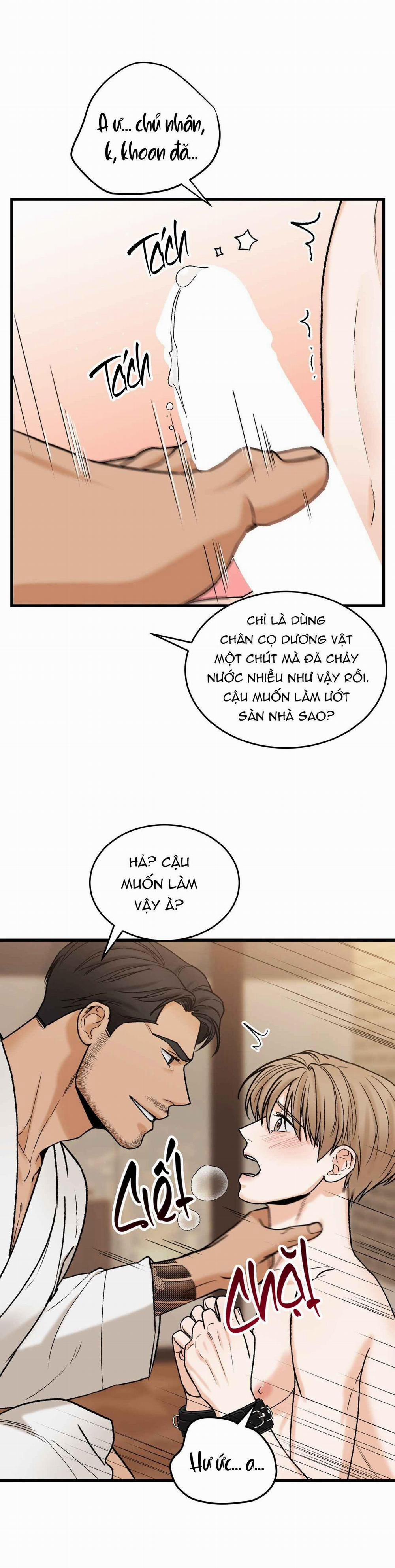 CHỦ NHÂN BẠO DÂM CỦA TÔI 10 trang 11