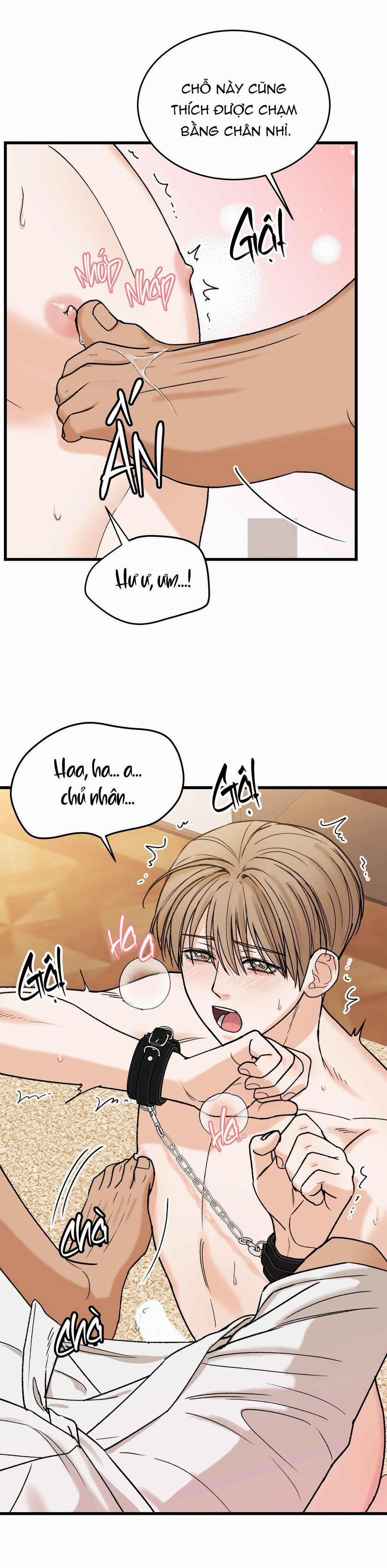 CHỦ NHÂN BẠO DÂM CỦA TÔI 10 trang 13