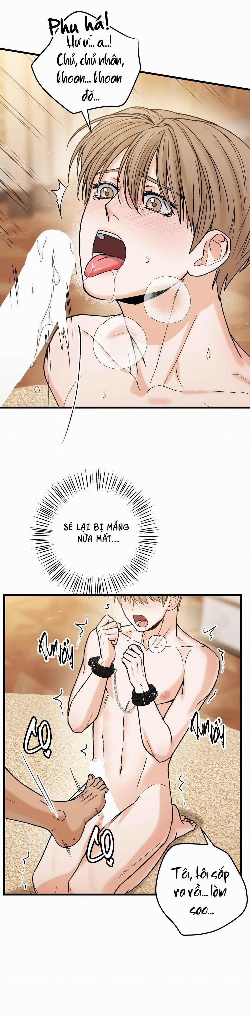 CHỦ NHÂN BẠO DÂM CỦA TÔI 10 trang 19