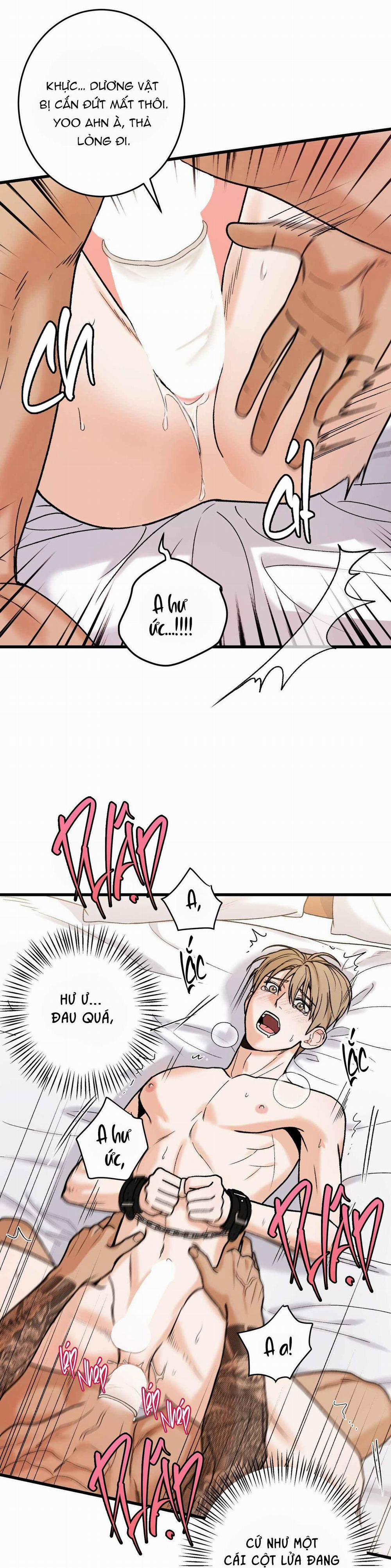 CHỦ NHÂN BẠO DÂM CỦA TÔI 11 trang 10