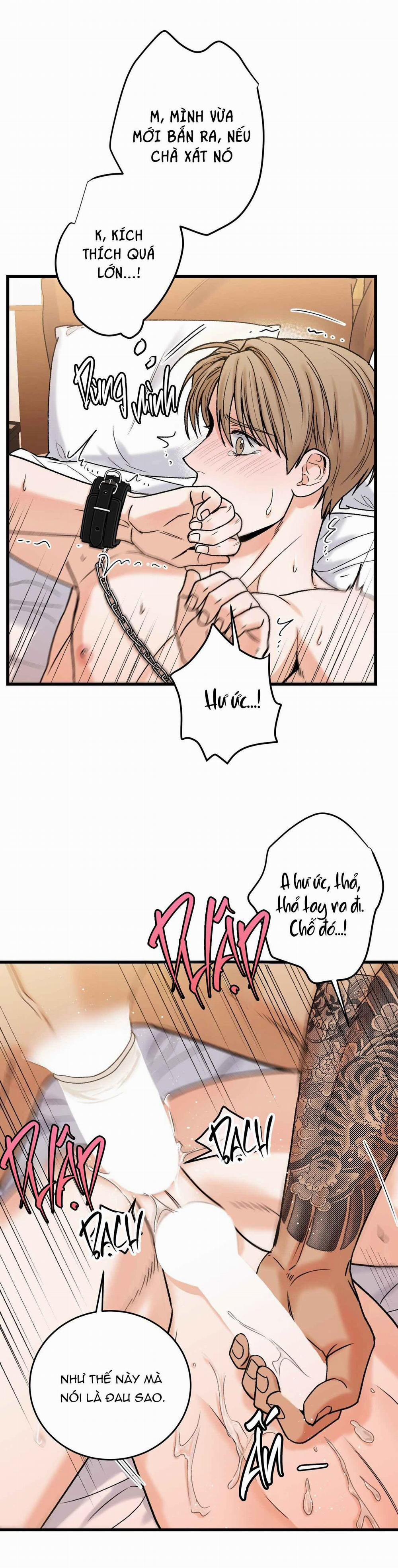 CHỦ NHÂN BẠO DÂM CỦA TÔI 11 trang 17