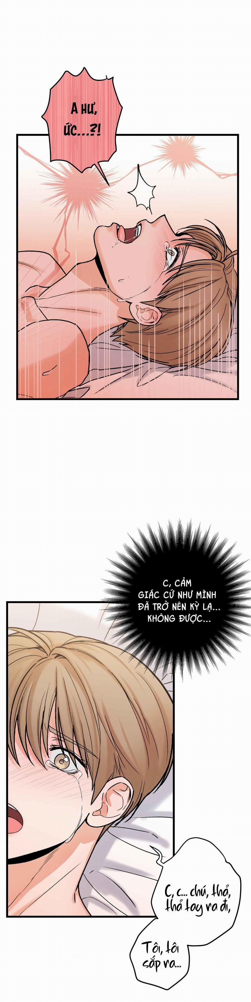 CHỦ NHÂN BẠO DÂM CỦA TÔI 11 trang 19