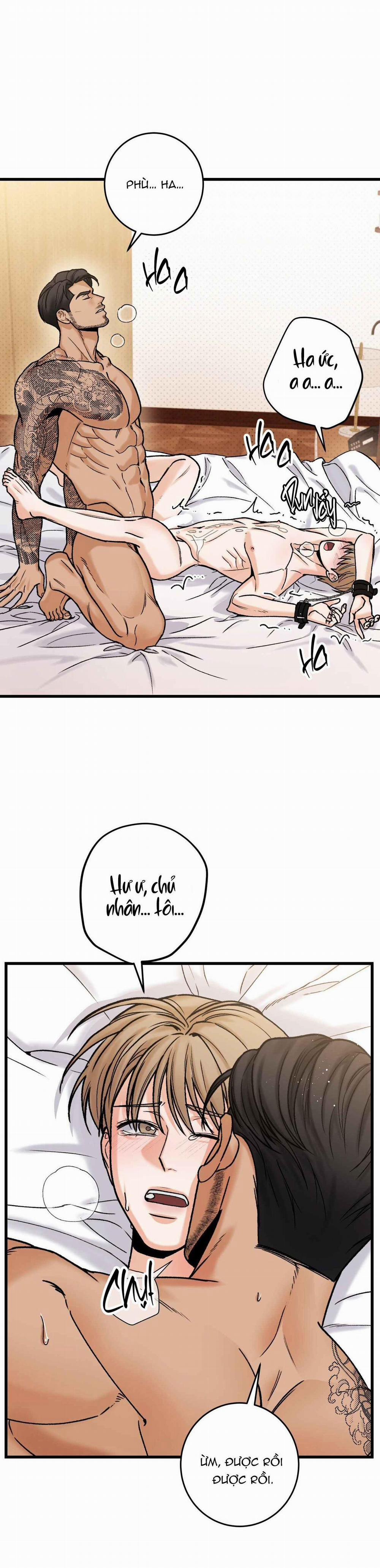 CHỦ NHÂN BẠO DÂM CỦA TÔI 11 trang 24