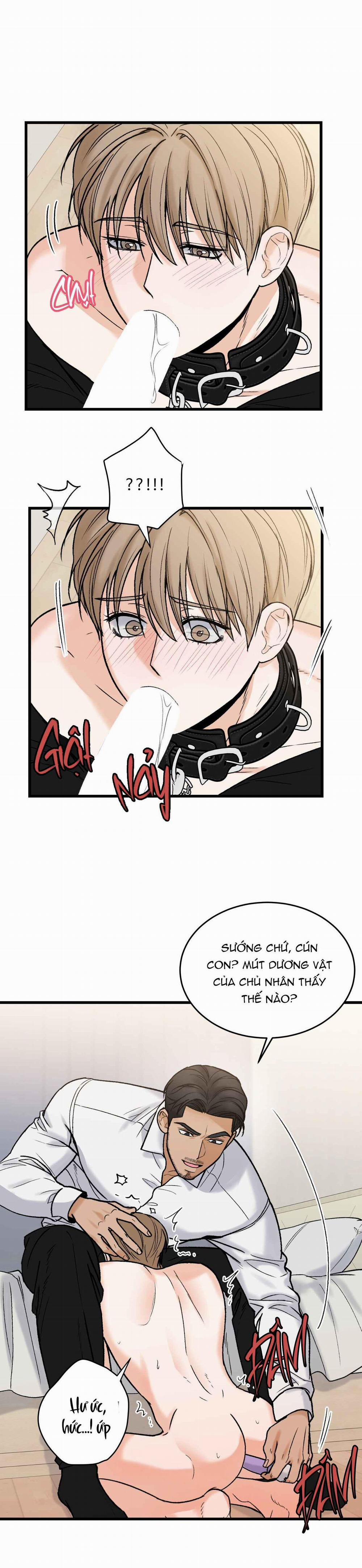 CHỦ NHÂN BẠO DÂM CỦA TÔI 15 trang 13