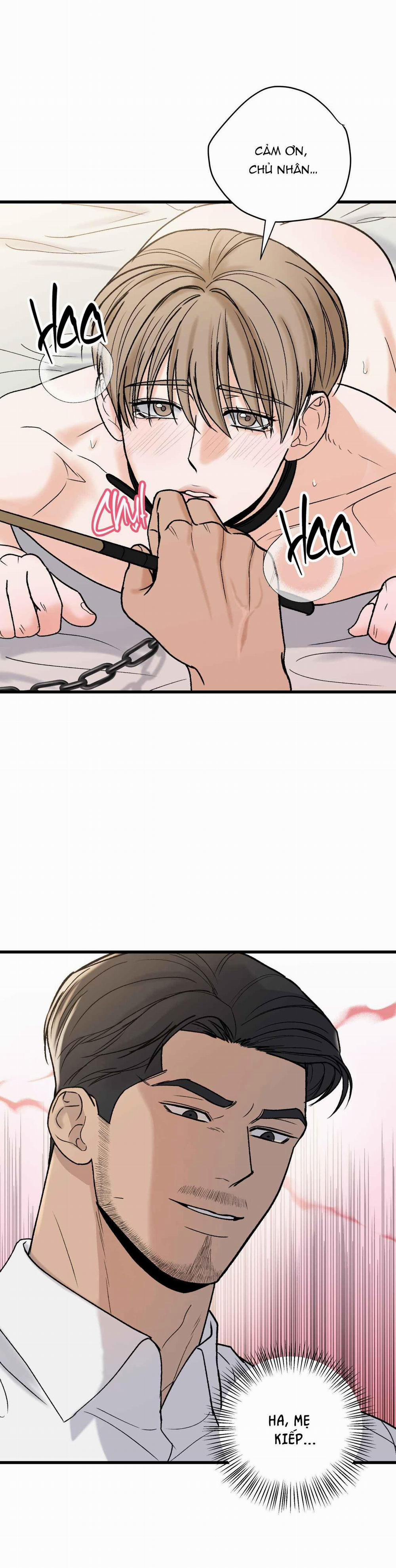 CHỦ NHÂN BẠO DÂM CỦA TÔI 15 trang 23