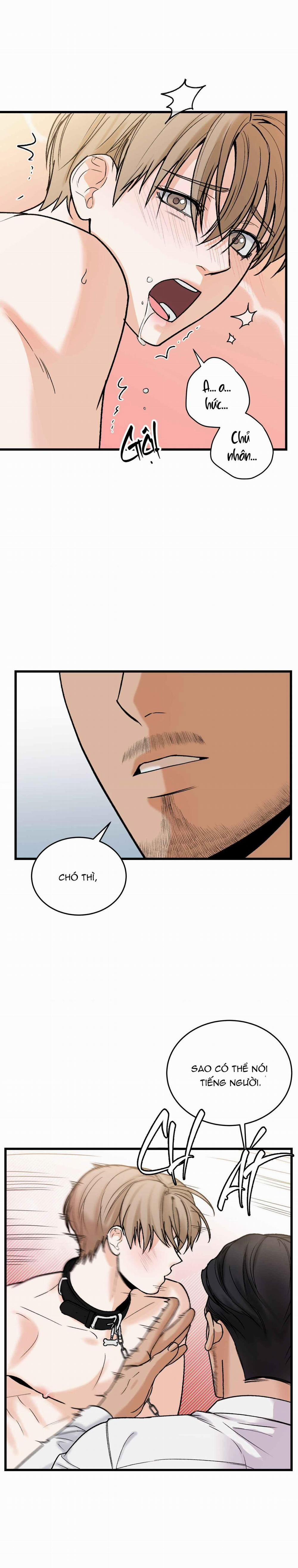 CHỦ NHÂN BẠO DÂM CỦA TÔI 15 trang 7