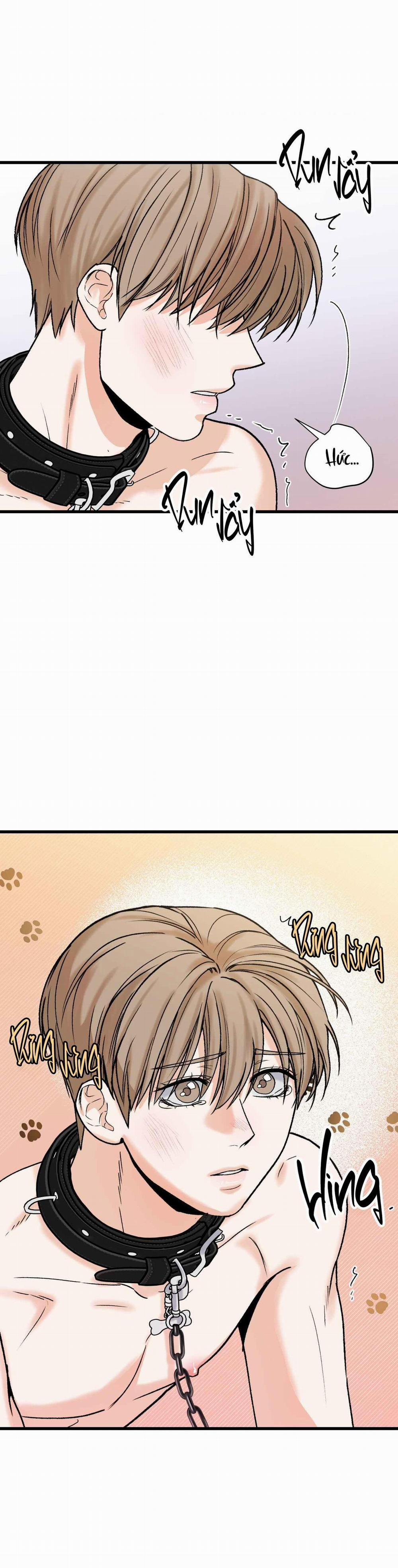 CHỦ NHÂN BẠO DÂM CỦA TÔI 15 trang 8