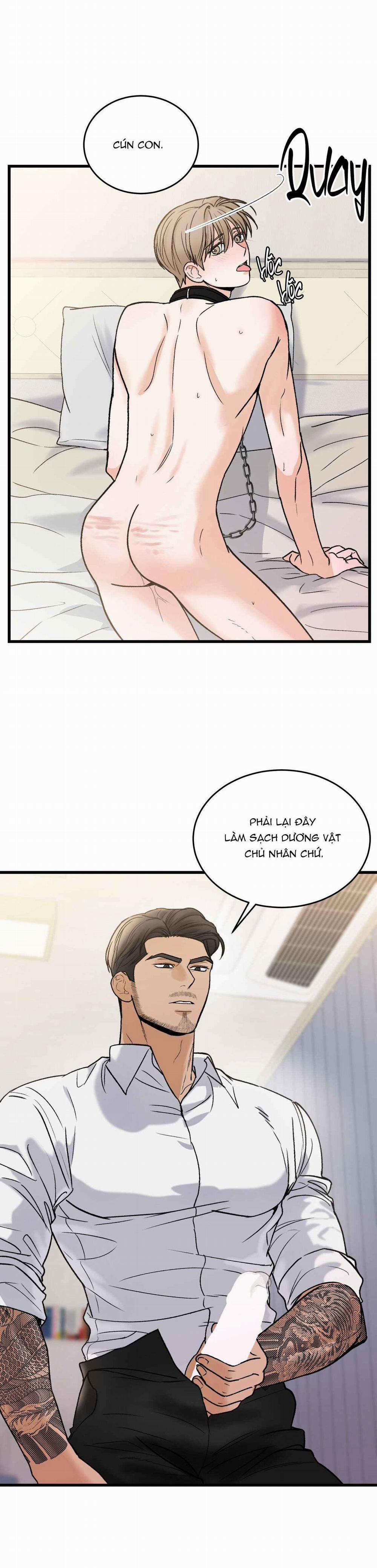 CHỦ NHÂN BẠO DÂM CỦA TÔI 16 trang 12