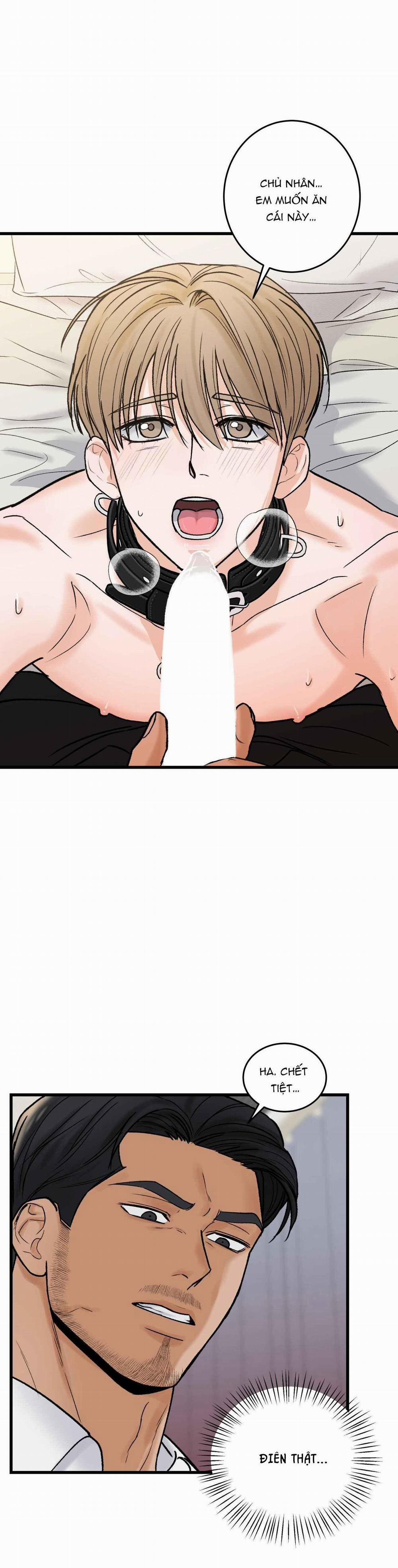 CHỦ NHÂN BẠO DÂM CỦA TÔI 16 trang 14