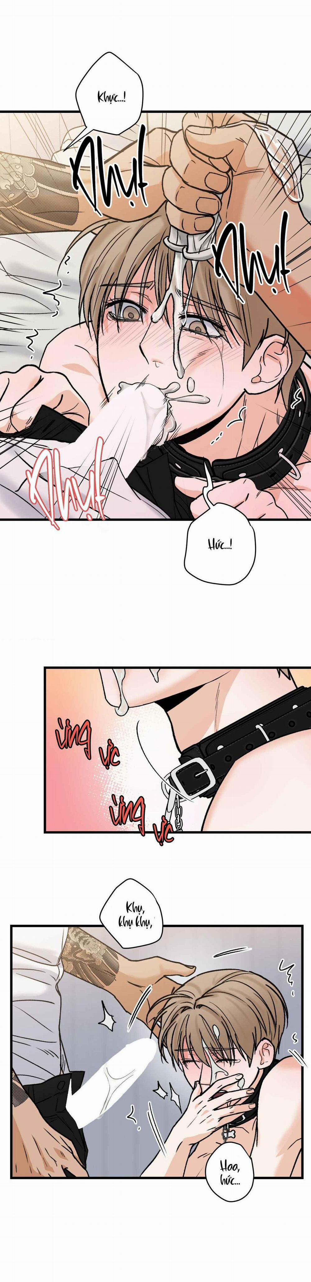 CHỦ NHÂN BẠO DÂM CỦA TÔI 16 trang 17