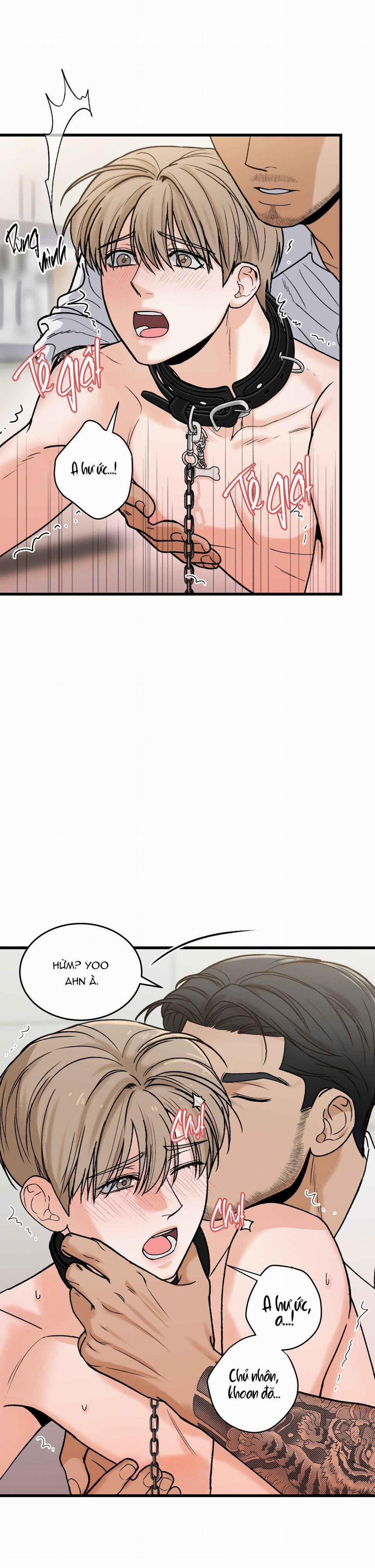 CHỦ NHÂN BẠO DÂM CỦA TÔI 16 trang 3