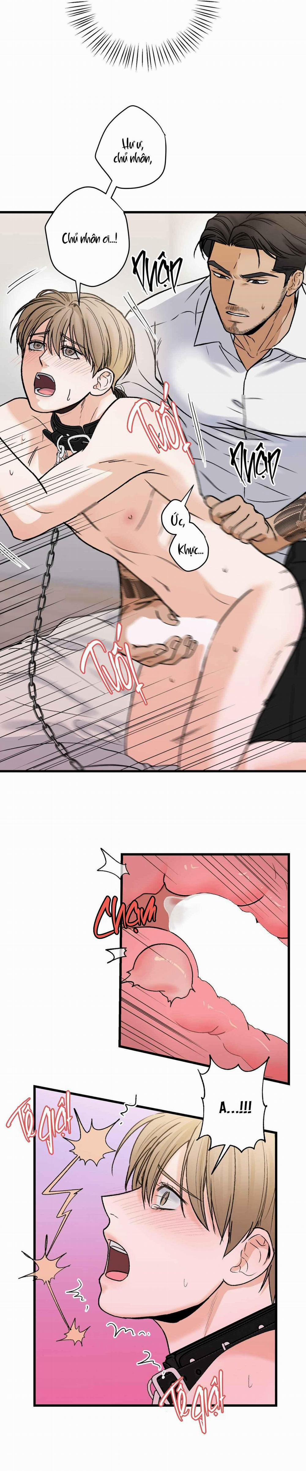 CHỦ NHÂN BẠO DÂM CỦA TÔI 16 trang 9