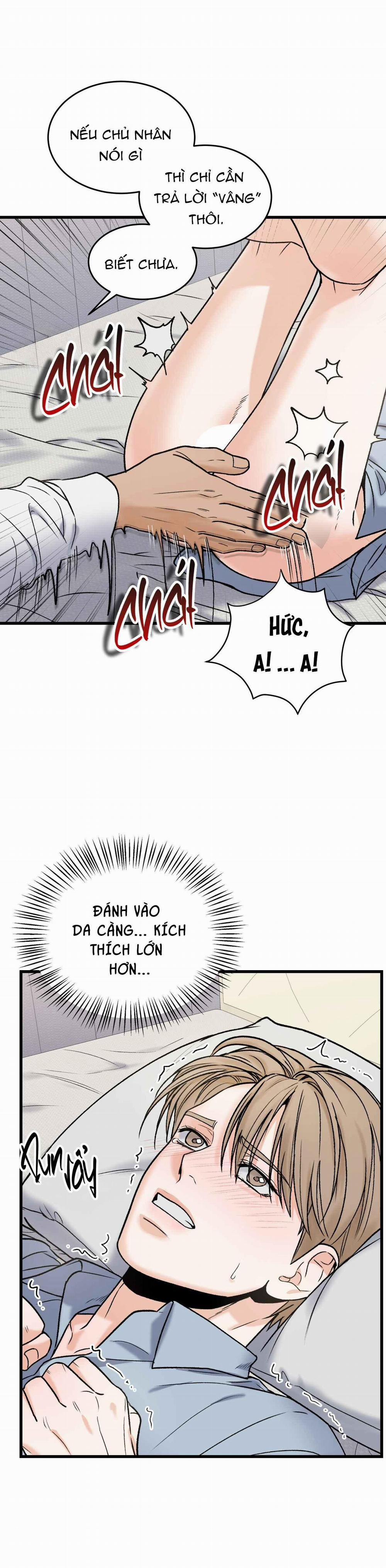 CHỦ NHÂN BẠO DÂM CỦA TÔI 7 trang 18