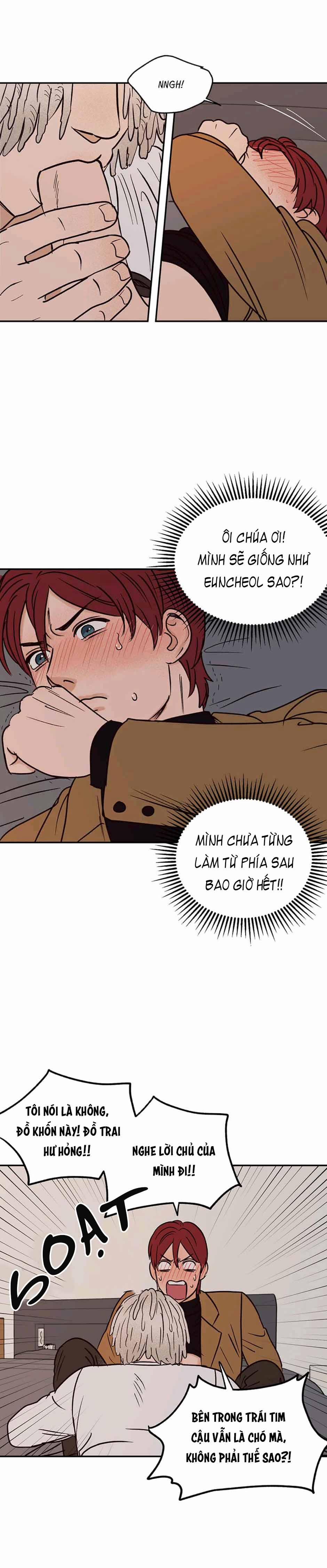 CHỦ NHÂN CỦA CẬU CHỦ 39 trang 14