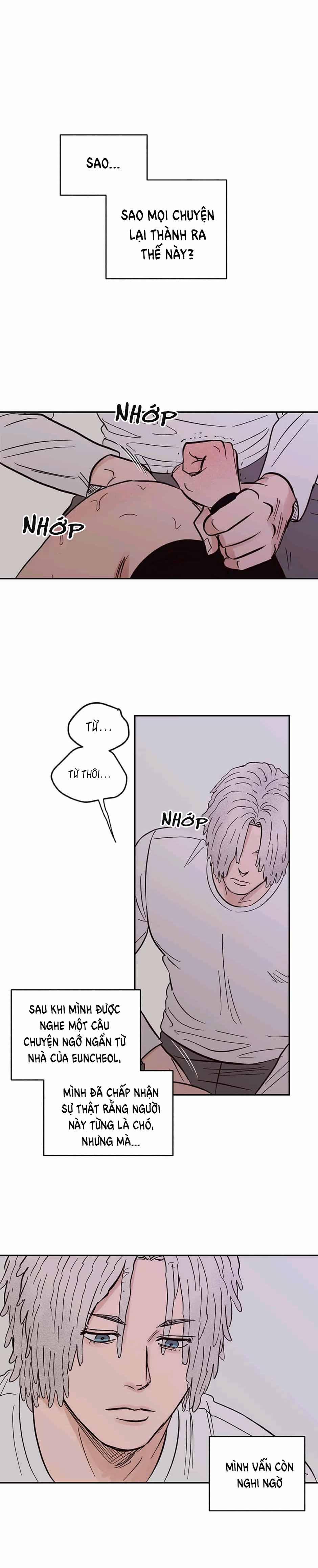 CHỦ NHÂN CỦA CẬU CHỦ 40 trang 0