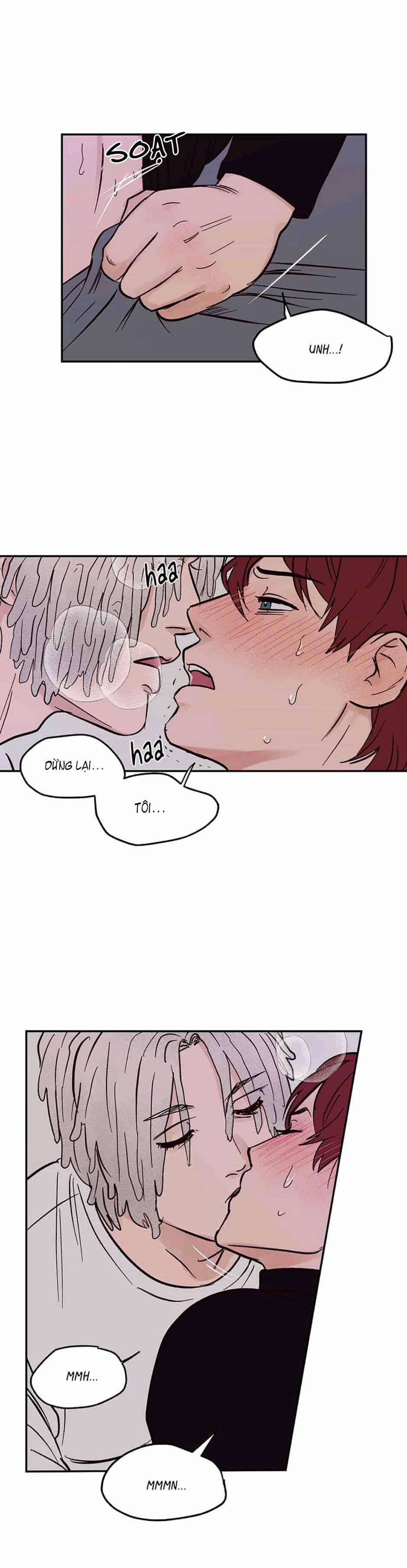 CHỦ NHÂN CỦA CẬU CHỦ 40 trang 14