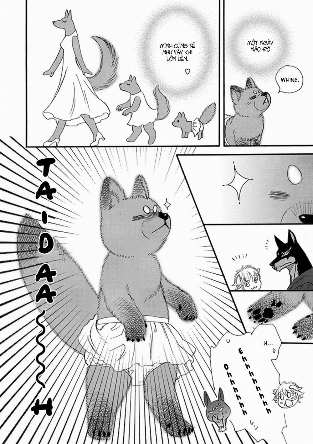 Chủ nhân của tôi Bonus 0 12 trang 8