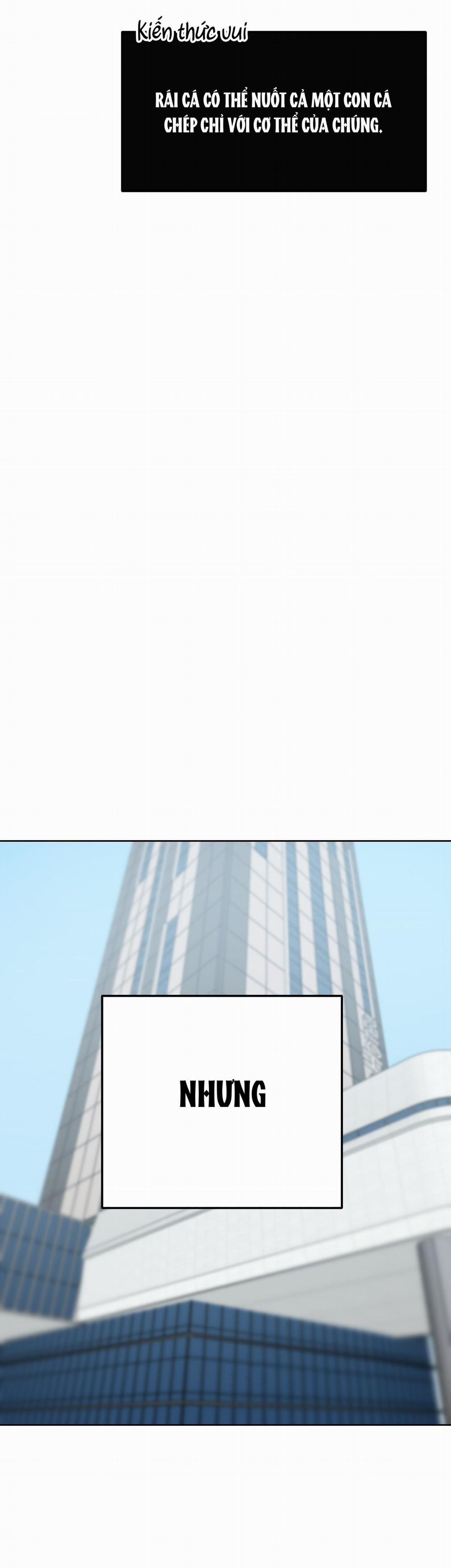 Chú Thỏ Chỉ Cần 3 Giây Là Xuất Tinh 1 trang 21