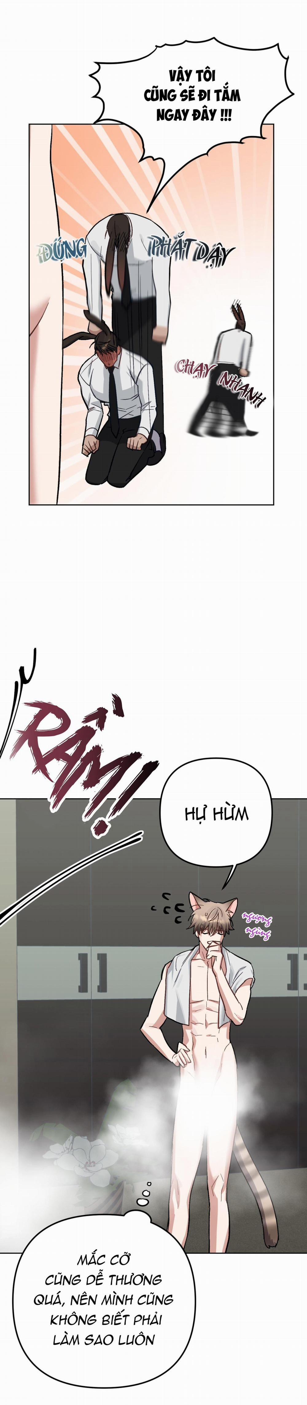 Chú Thỏ Chỉ Cần 3 Giây Là Xuất Tinh 3 trang 18