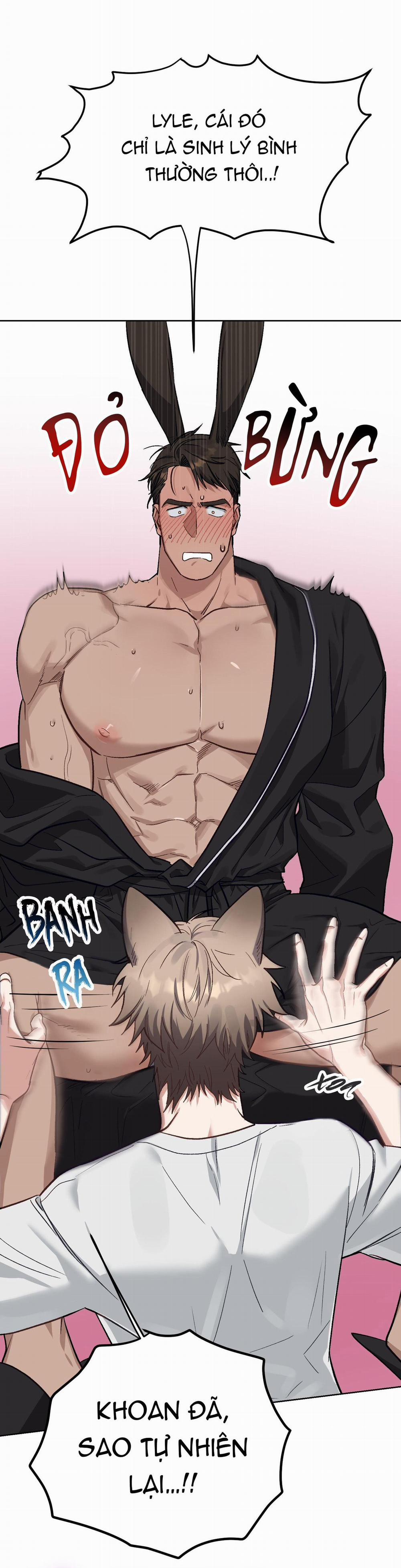 Chú Thỏ Chỉ Cần 3 Giây Là Xuất Tinh 3 trang 40