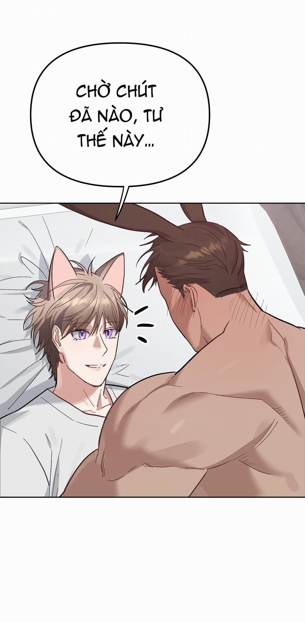 Chú Thỏ Chỉ Cần 3 Giây Là Xuất Tinh 4 trang 14