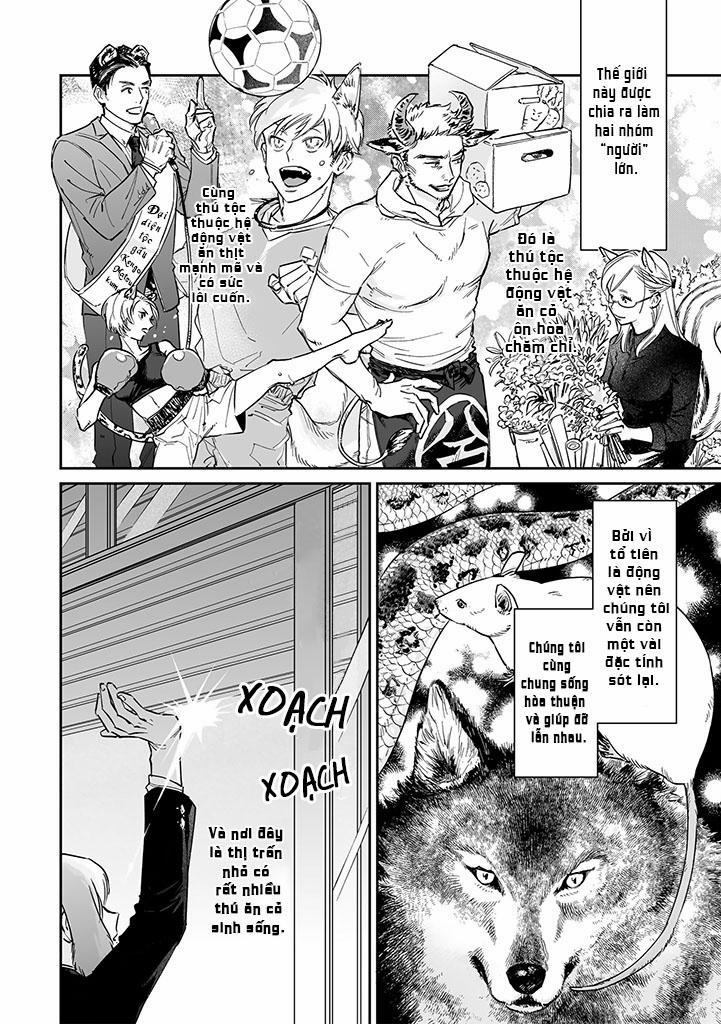 CHÚ THỎ MẬT NGỌT CỦA CHÀNG HỔ LẠNH LÙNG 1 trang 2