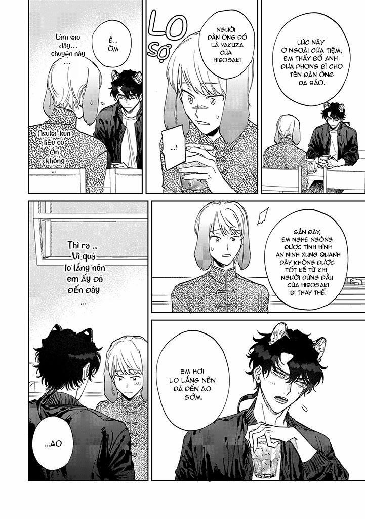 CHÚ THỎ MẬT NGỌT CỦA CHÀNG HỔ LẠNH LÙNG 5 trang 2