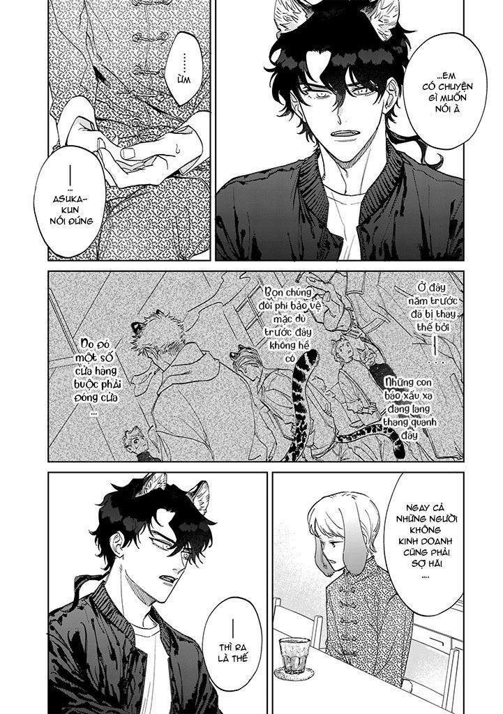 CHÚ THỎ MẬT NGỌT CỦA CHÀNG HỔ LẠNH LÙNG 5 trang 3