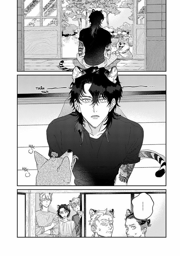 CHÚ THỎ MẬT NGỌT CỦA CHÀNG HỔ LẠNH LÙNG 7 trang 1