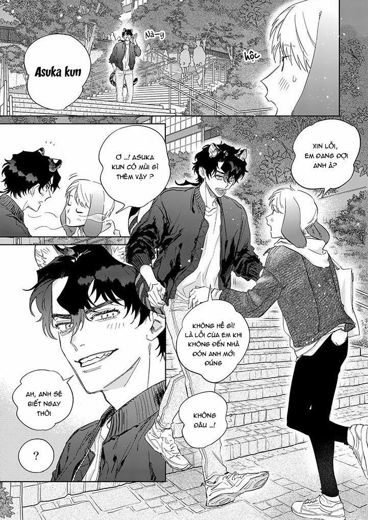 CHÚ THỎ MẬT NGỌT CỦA CHÀNG HỔ LẠNH LÙNG 9 trang 4