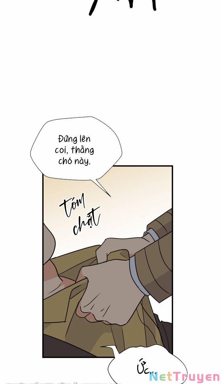 Chủ Tịch Đi Học 12 trang 10