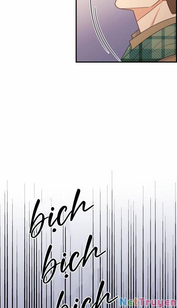 Chủ Tịch Đi Học 12 trang 5