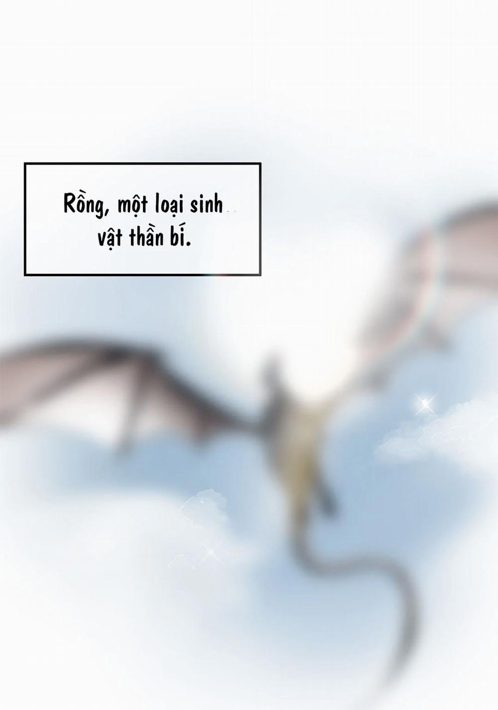 Chủ Tịch Rồng Muốn Làm Giàu 1 trang 10