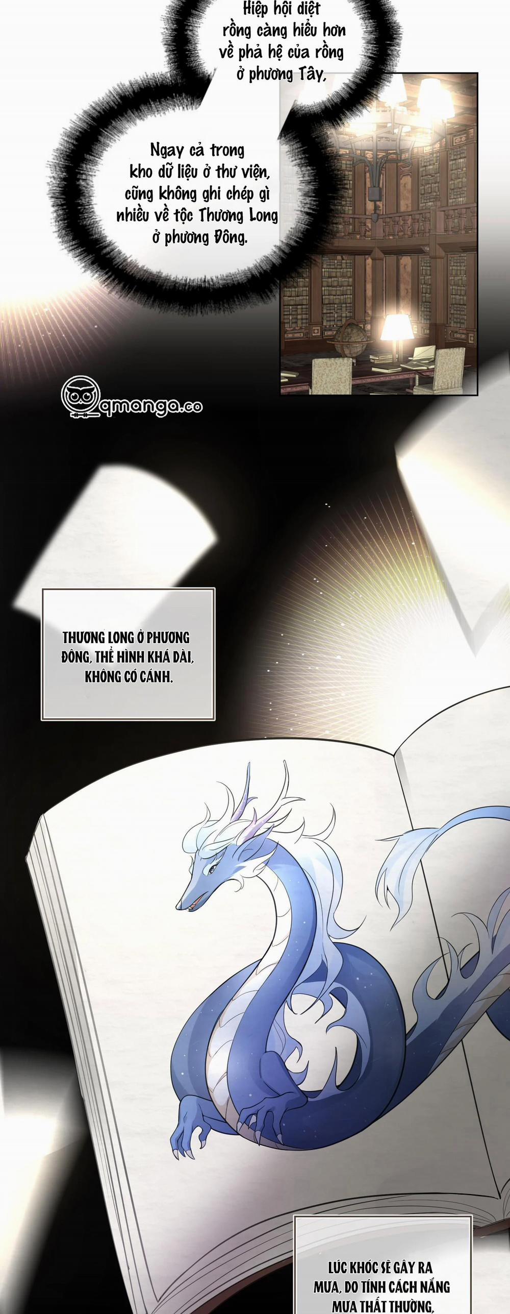 Chủ Tịch Rồng Muốn Làm Giàu 33 trang 1